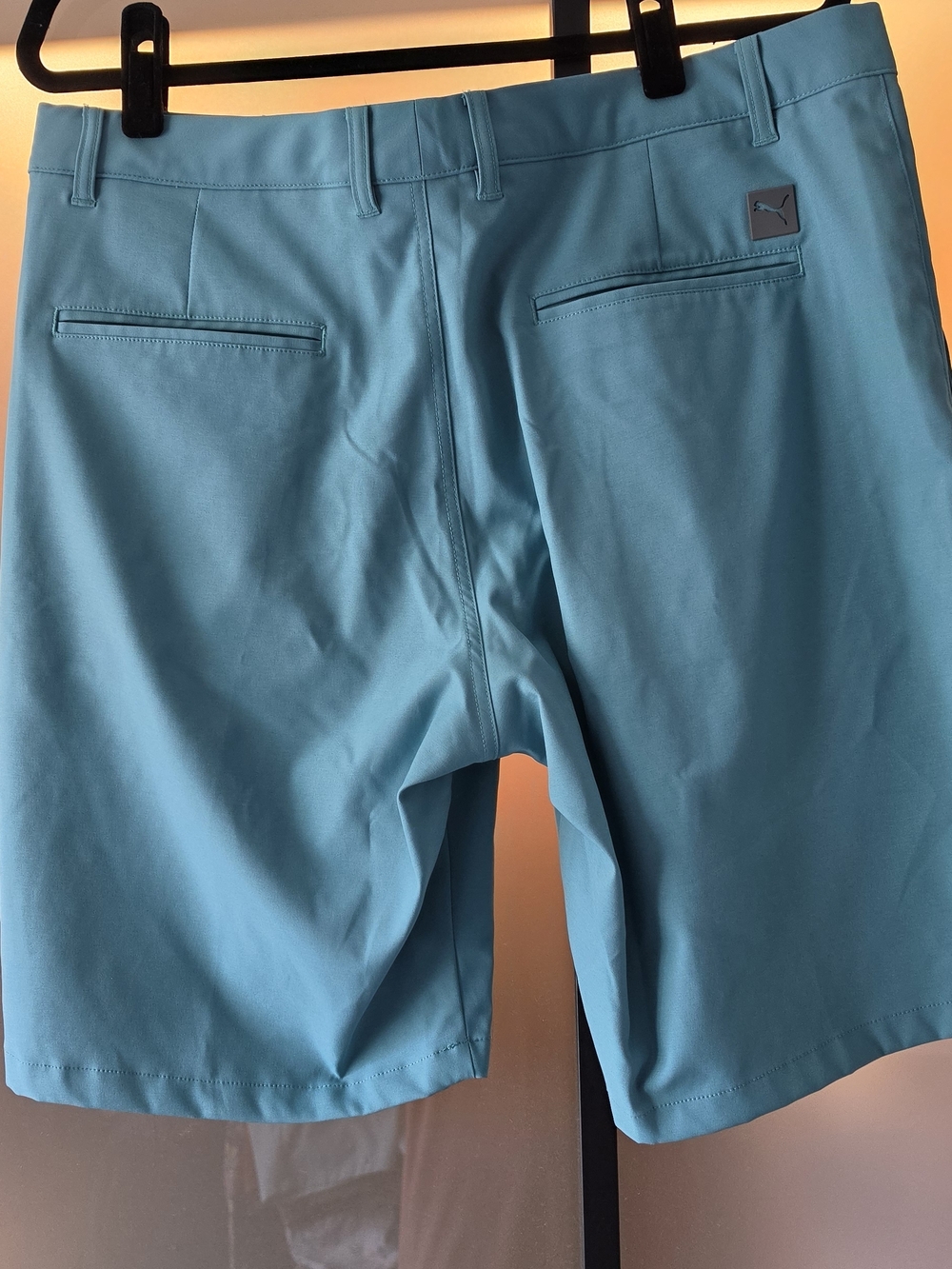 Puma Men’s Aqua Performance Hybrid Shorts